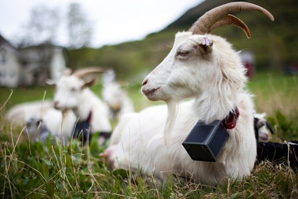 company gallery image