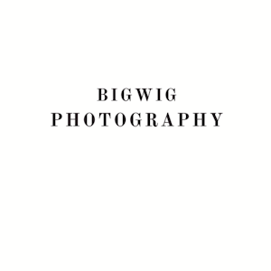 Bigwig Photography