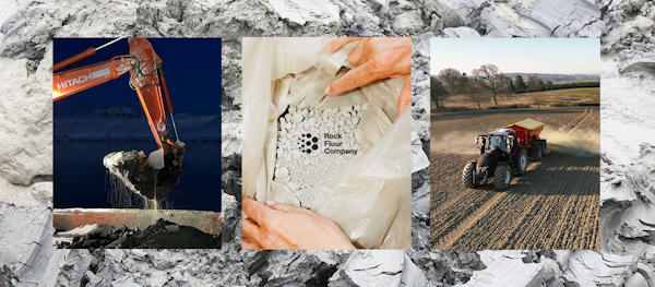 company gallery image